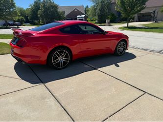2019 Ford Mustang