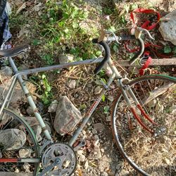 Vintage Racing Bike (Favorit)