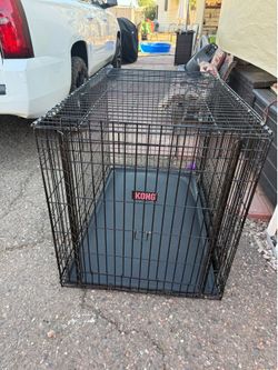 Kong dog cage