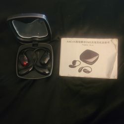 Translation Earbuds