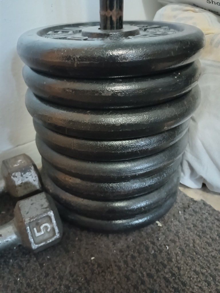 80 Lbs of weights