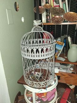 Bird çage