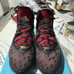 LeBron 19s Doernbecher