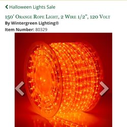 Wintergreen LED Orange Lights