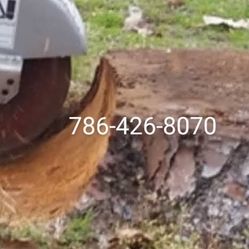 Stump Grinding Tree Trimming 
