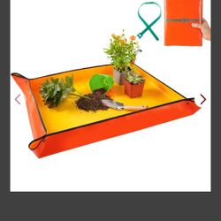 Plants 