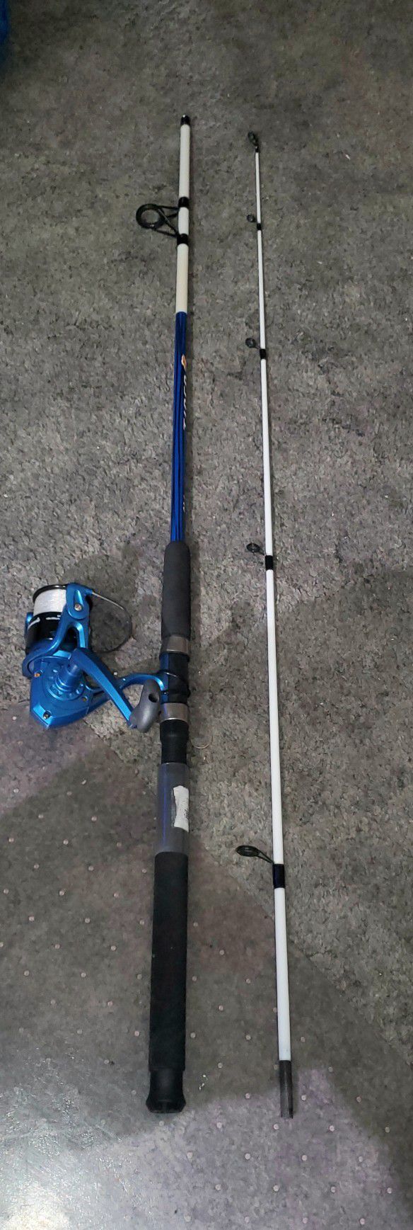 Shakespeare Tiger Spinning Reel On 7ft Shakespeare Tiger Rod for Sale in  Plant City, FL - OfferUp