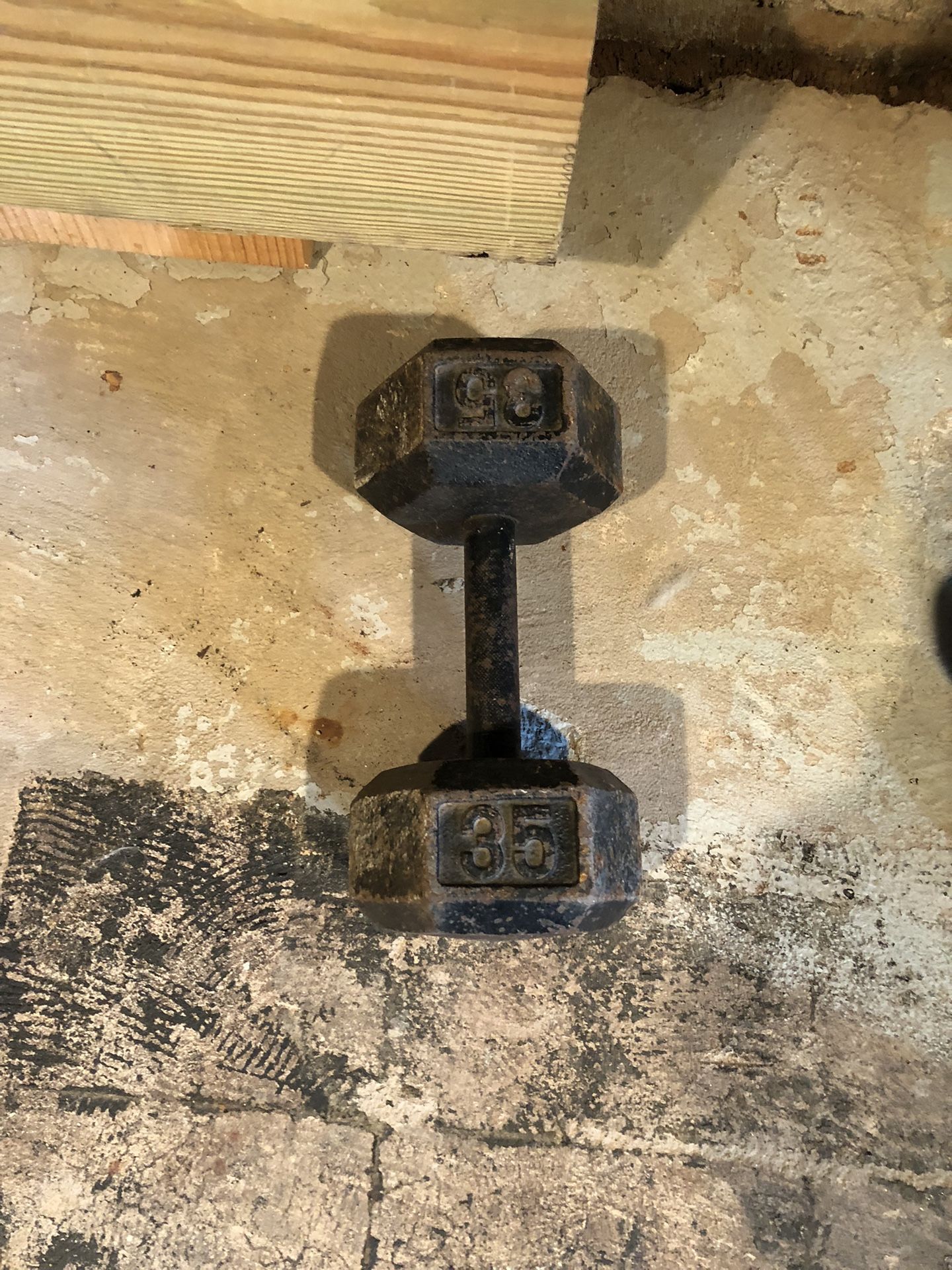 35 Lb pound dumbbell