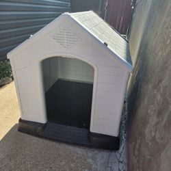 Dog House