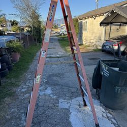 Werner Ladder 8ft 