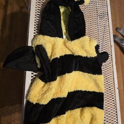 Kids Bee Costume