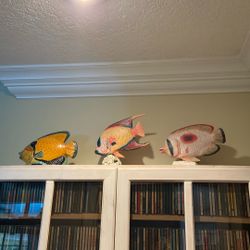 Pen o Tropical Fish Wood Compostion On Coral 