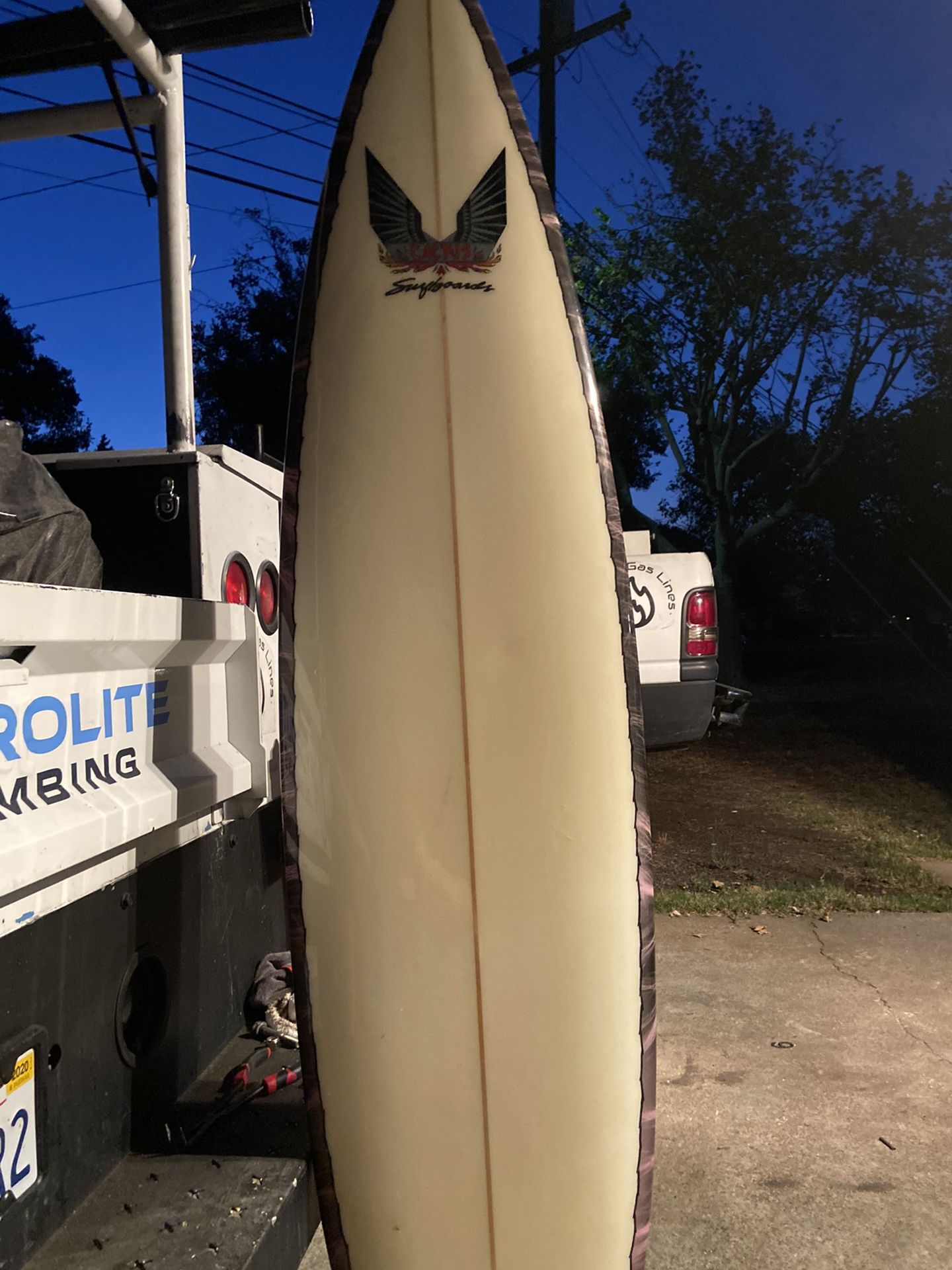 Cactus surfboard -7’