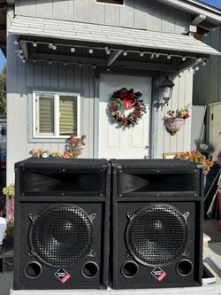 Nice Pair Of Nady PS112 12" 300W 2-Way Speaker Monitors