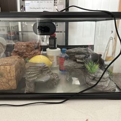 20 Gallon Tank with accessories 