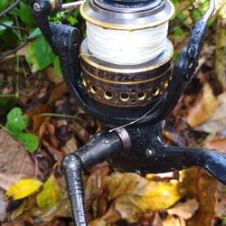 Shimano 7000 Series