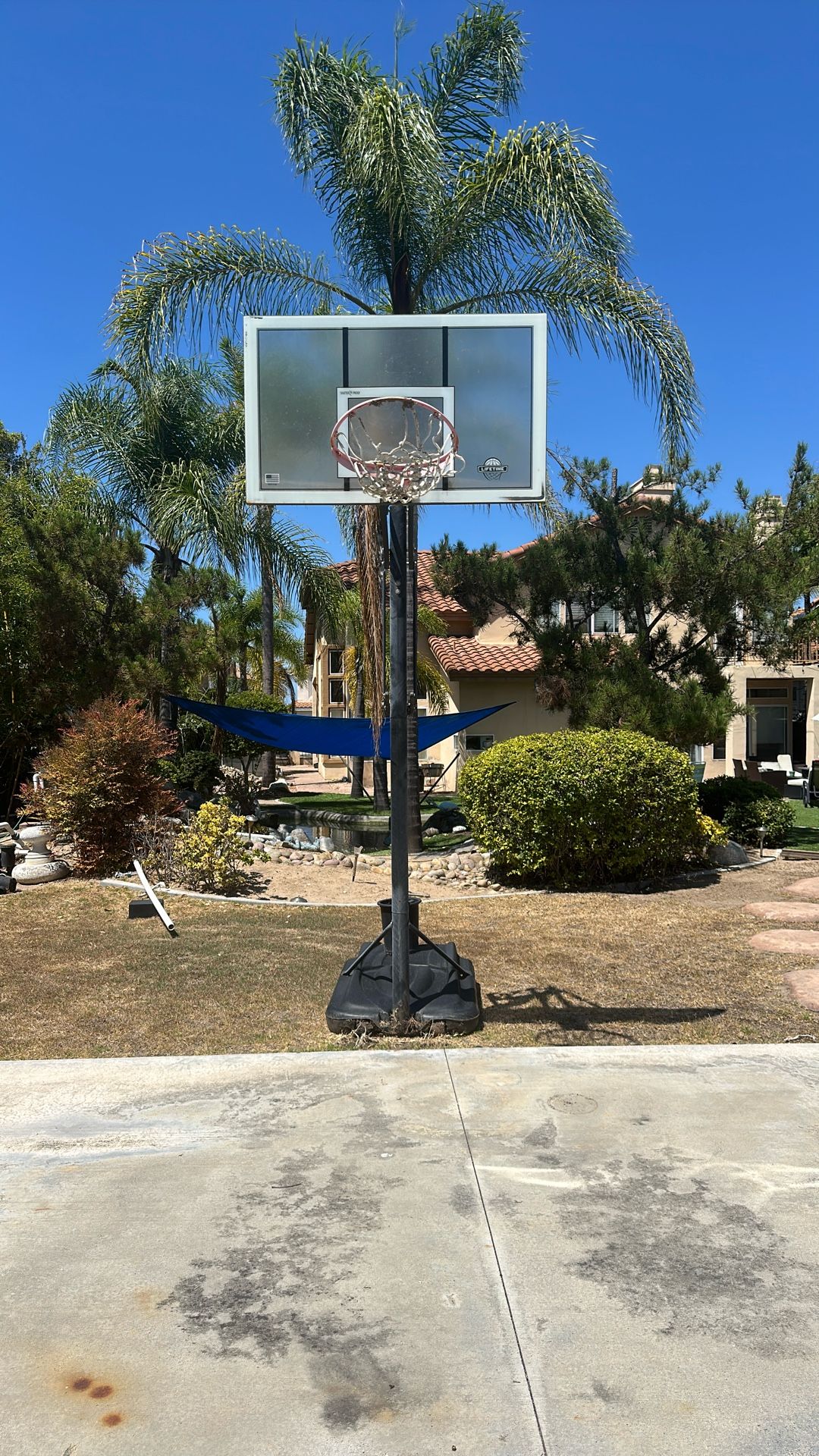 Free Standing Basketball Hoop