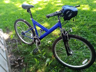 Pro Performance Bike