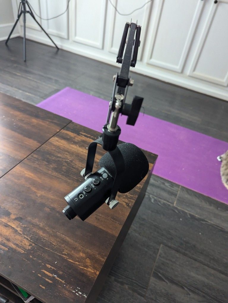 Podcast Mic