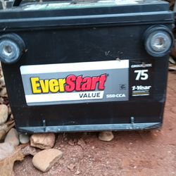 12v Everstart Car Battery