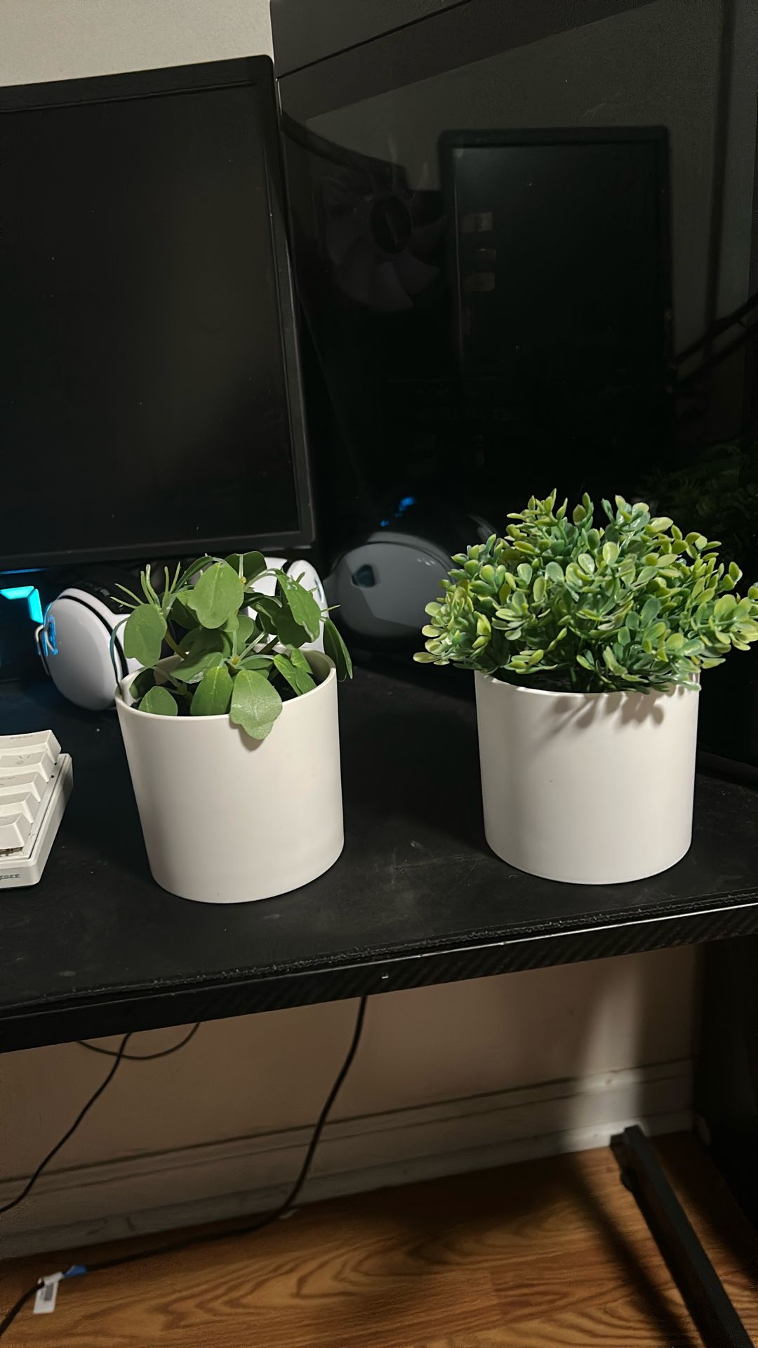 Fake Plants ($5 Each)