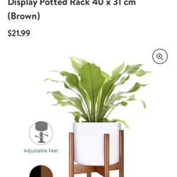 Plant Stand 