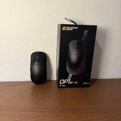 Wireless Gaming Mouse