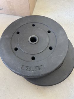 25 Lb Weights X 2