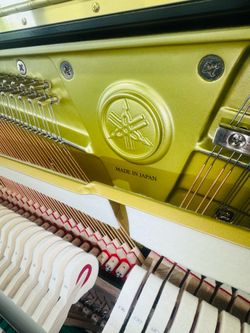 Yamaha 2025 U1