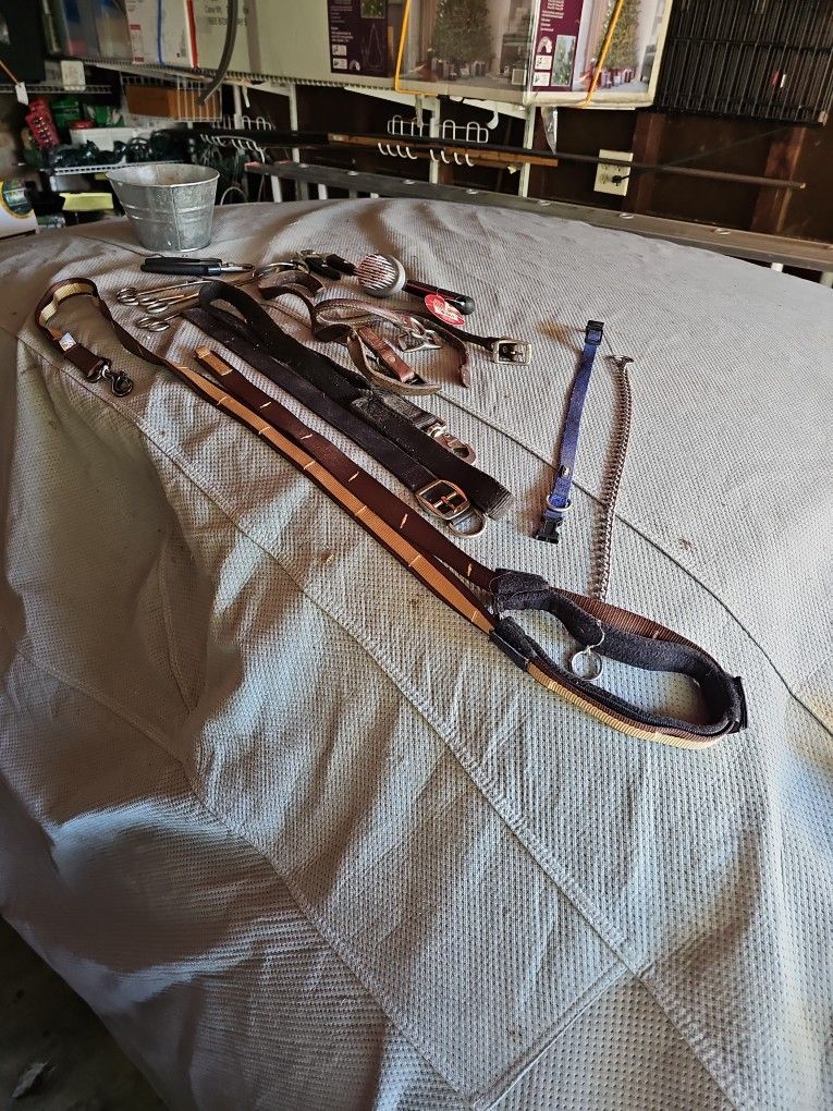 Dog Leash, Collars, Scissors, Brush, Nail Trimmers