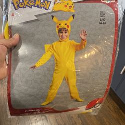Pokémon Costume 