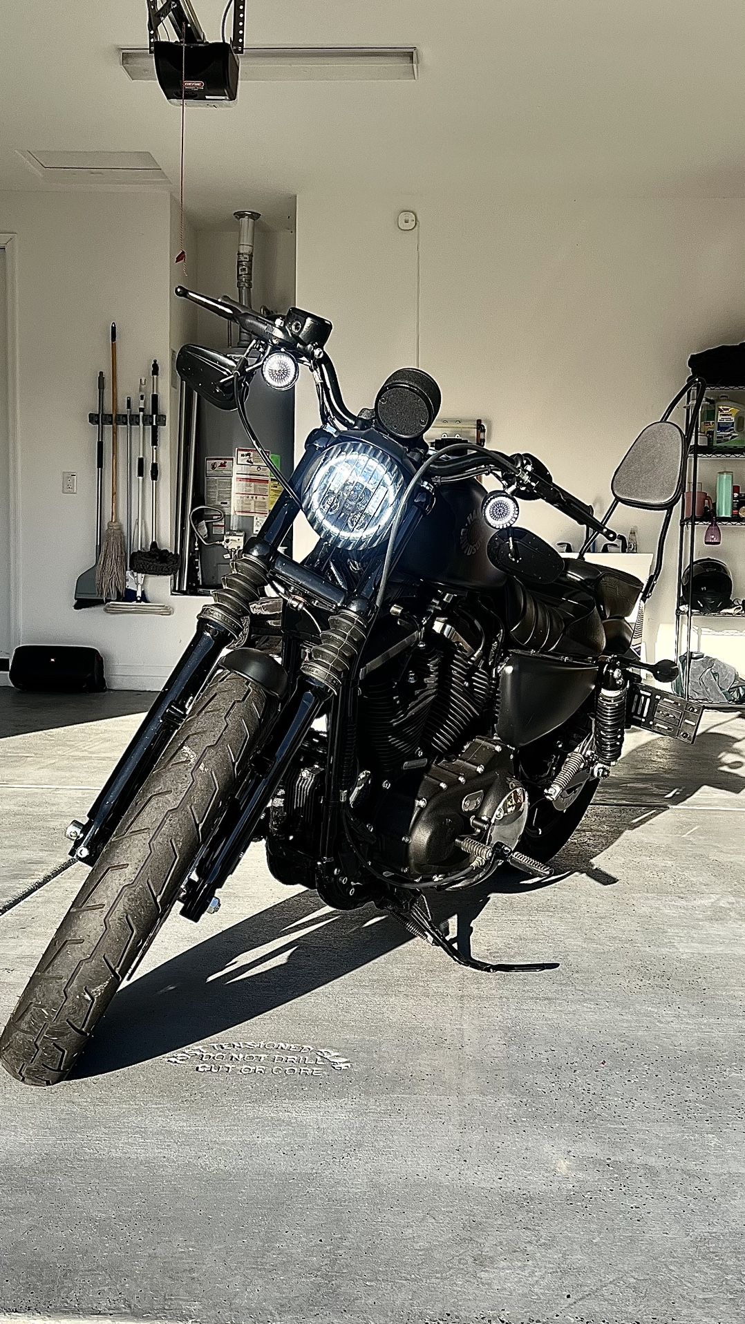 2019 Harley Davidson Iron 883