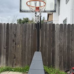 Basketball Hoop