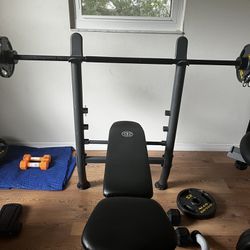 Weight Bench And 12 Weights All Sizes Needed 
