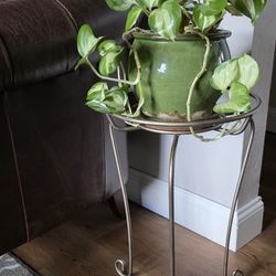 Beautifully Antique Gold Plant Stand, 21" Tall