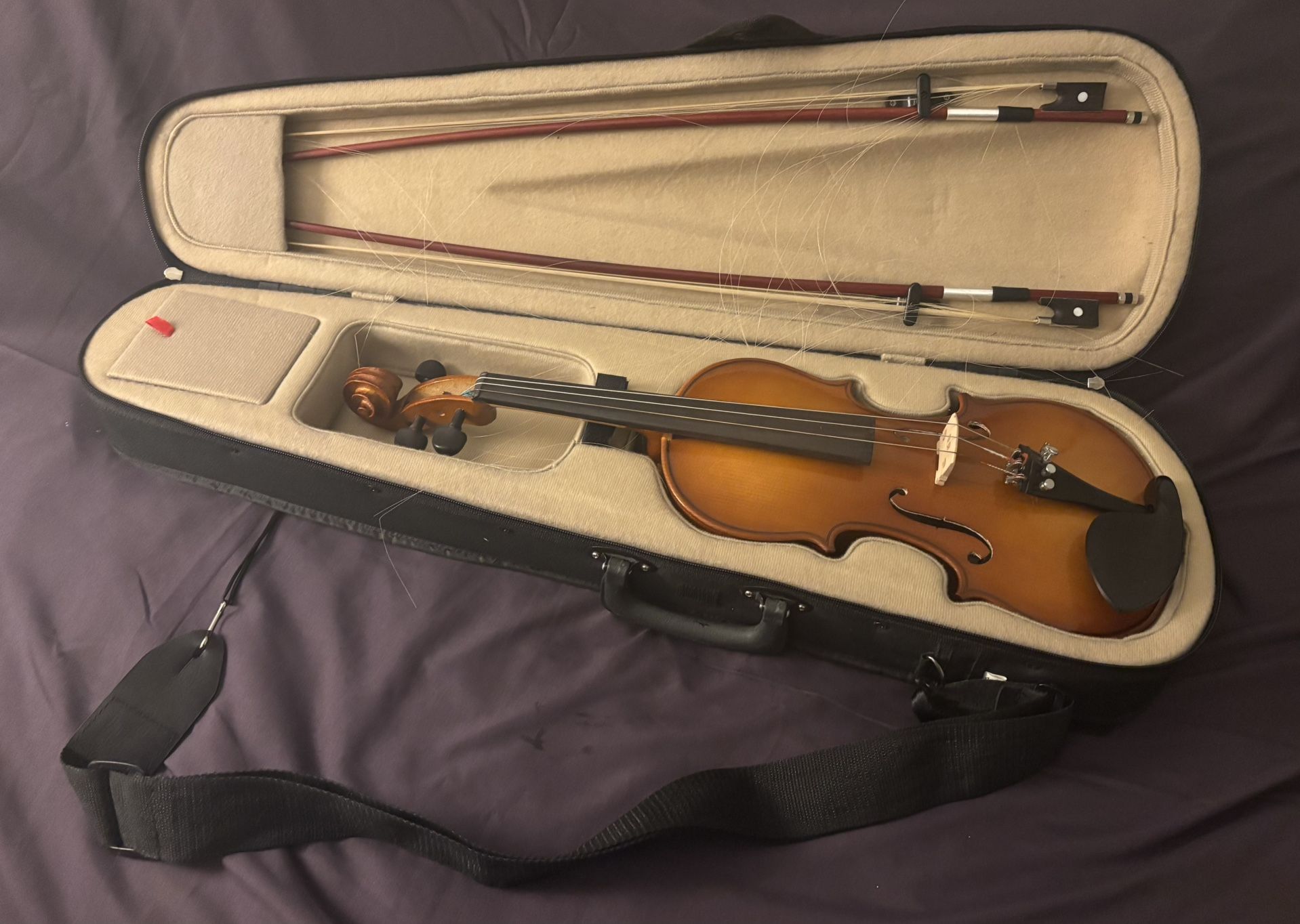 Cecilio violin CVN-300