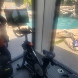 Gym Equipment 