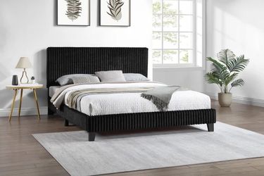 Queen Size Black Velvet Brd With Orthopedic Mattress 