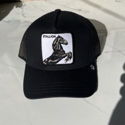 Stallion Goorin Bros Adjustable Hat 🧢 