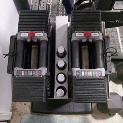 Powerblock Adjustable Dumbbells - 90lbs each