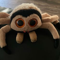 Spider