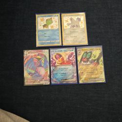 5 CARD BUNDLE