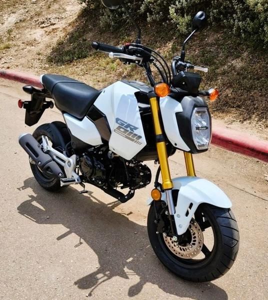 2025 Grom