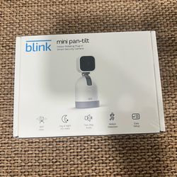 Blink Mini Pan-tilt