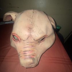 A Pig Mask