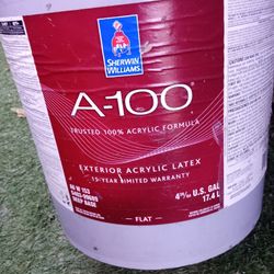 3 gallons Flat Paint 