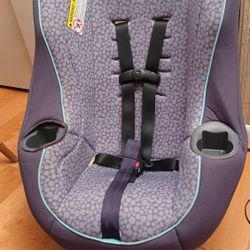 Booster Carseat. Like New