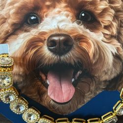 Pet Necklace