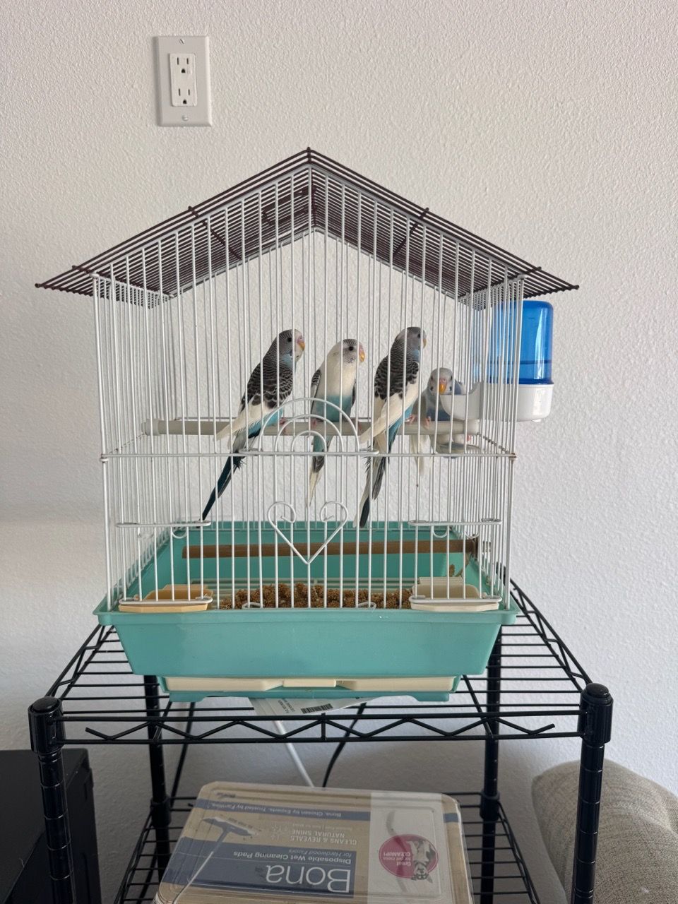 Tcage Normal Cages $20 for Sale in La Mesa, CA - OfferUp