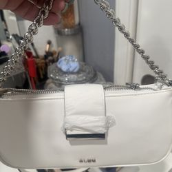 Aldo purse